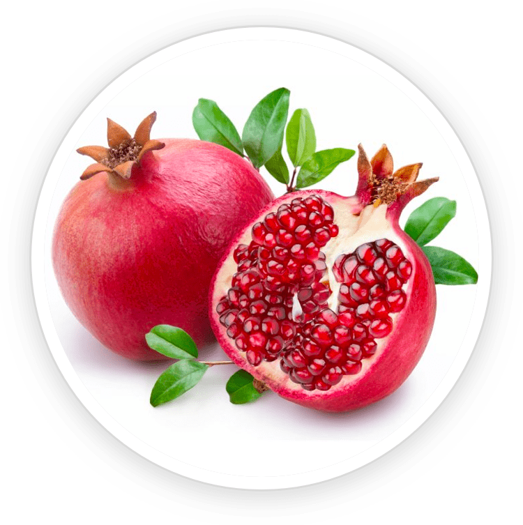 Illustration of Pomegranate Extract, Prostadine's antioxidant ingredient that aids in prostate health and urinary function.